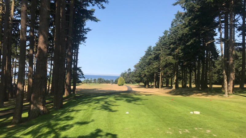 Excited is just a&nbsp;word…